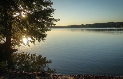 Wandlitz und die Schorfheide: Naturerlebnis und Historie vor den Toren Berlins